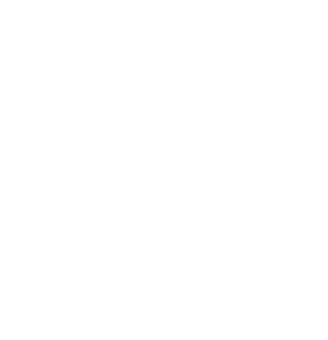 BHA Strategy
