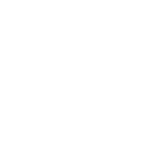 Fulcrum Intel